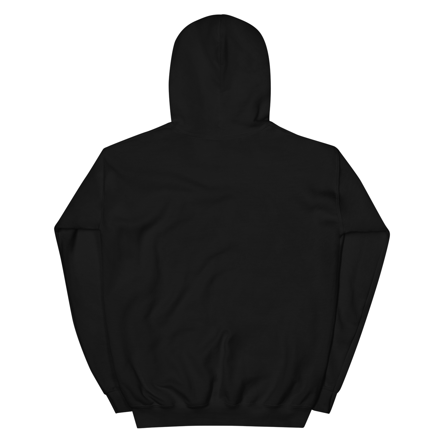 Spider Web Black Unisex hoodie